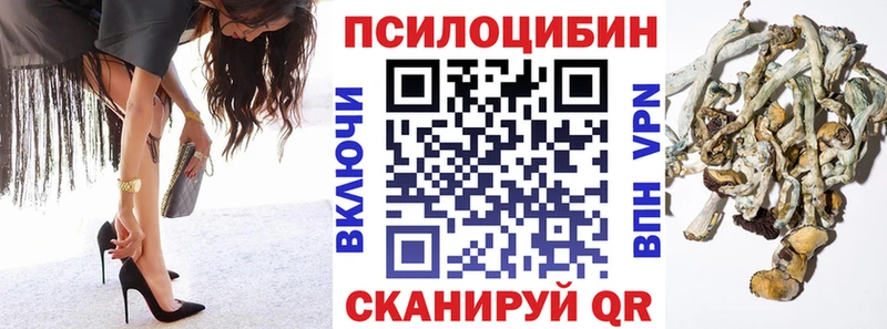 Псилоцибиновые грибы Cubensis Чаплыгин